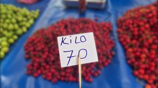 Festivalde 300 TL'ydi, fiyatı 70 TL'ye düştü 'Çok bol'