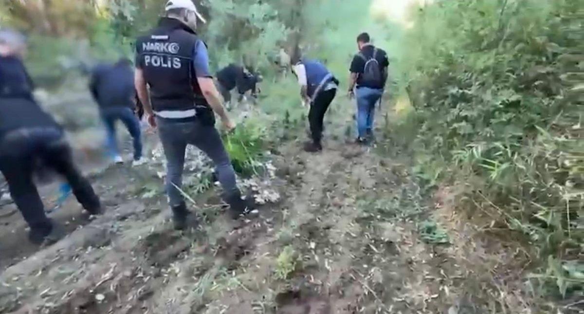 UNESCO Dünya Miras Listesi nde yer alıyordu! 8000 yıllık topraklarda uyuşturucu yetiştirmişler 1