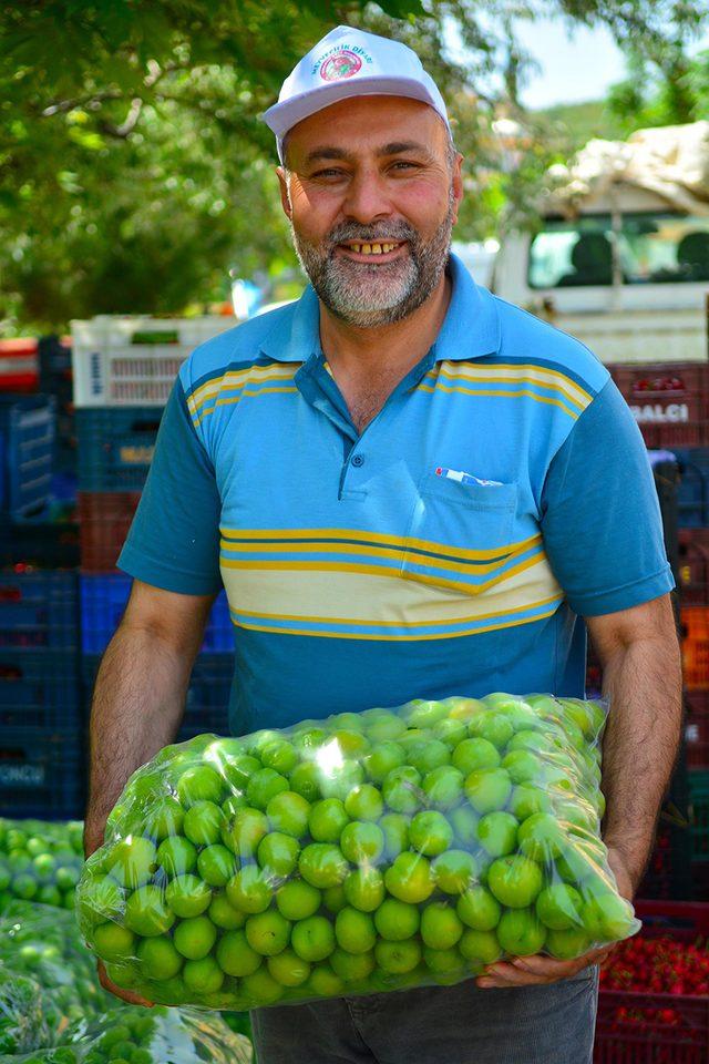 Para etmeyen erik, üreticiyi mağdur etti