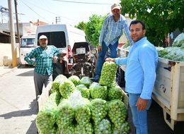 Para etmeyen erik, üreticiyi mağdur etti