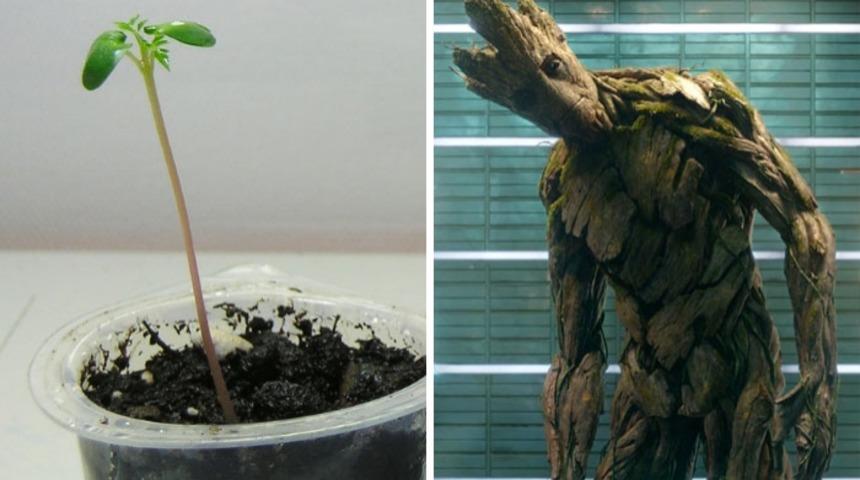 Avengers oyuncuları &ccedil;ocukluklarında nasıl g&ouml;z&uuml;k&uuml;yorlardı?