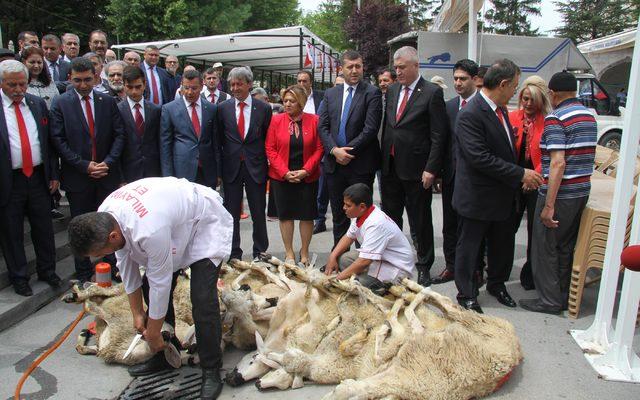 Kayseri'de MHP'nin 10 adayı için 10 kurban kesildi