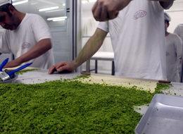 'Antep fıstığındaki fiyat artışının nedeni karaborsacılar'