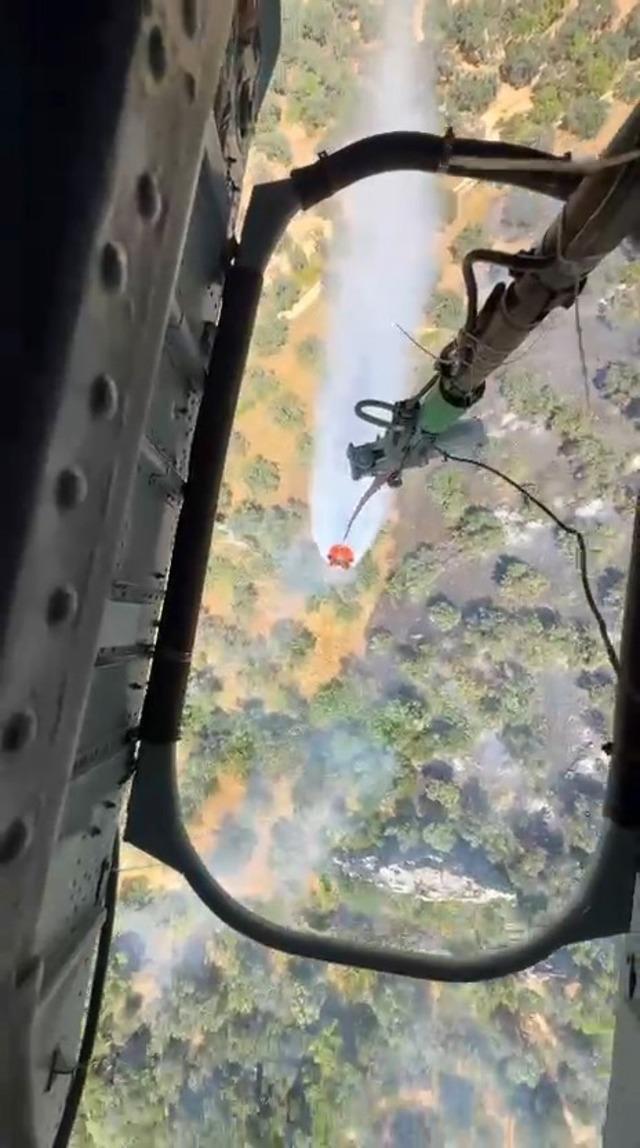 Burhaniye’deki zeytinlik yangını kontrol altına alındı 1