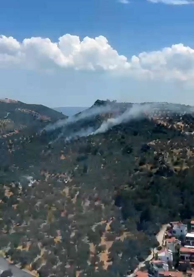 Burhaniye’deki zeytinlik yangını kontrol altına alındı 3