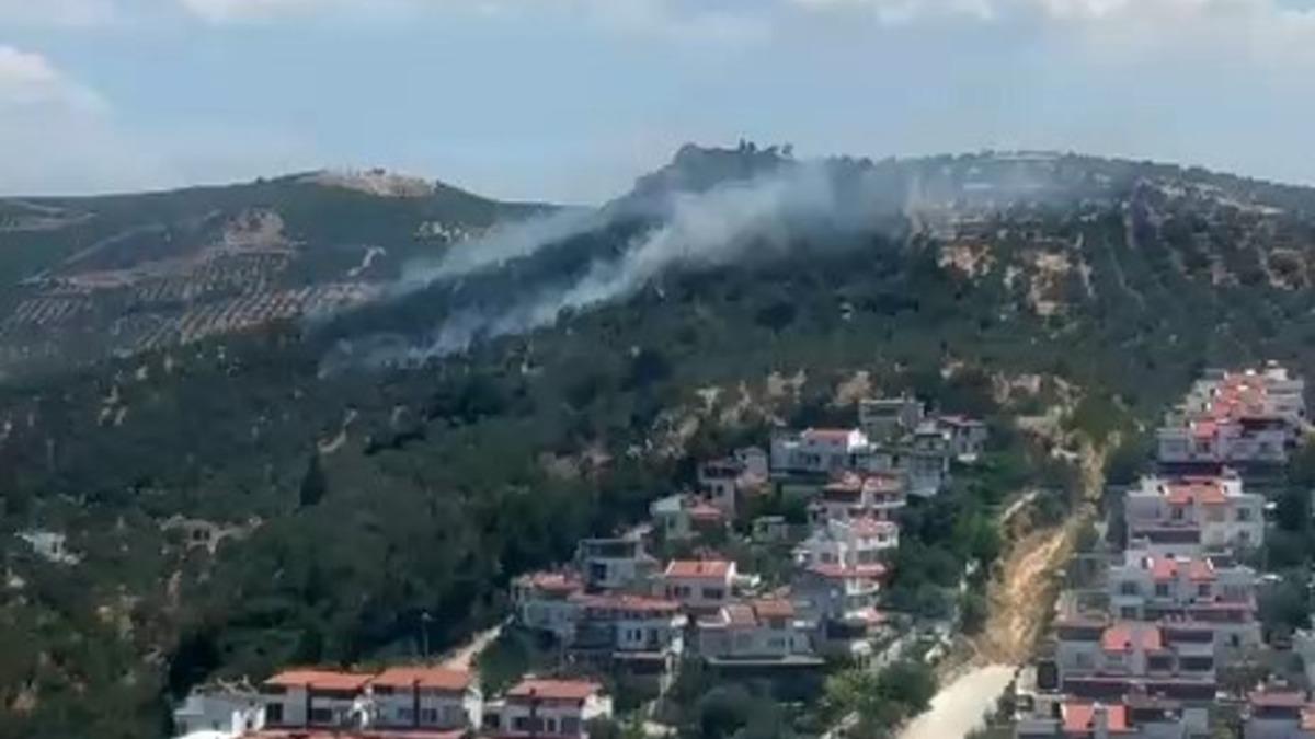 Burhaniye’deki zeytinlik yangını kontrol altına alındı
