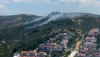 Burhaniye&rsquo;deki zeytinlik yangını kontrol altına alındı