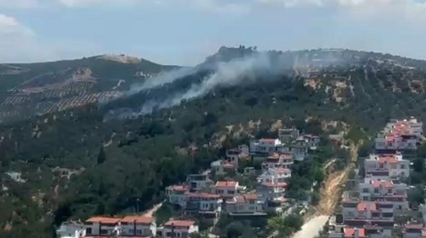 Burhaniye&rsquo;deki zeytinlik yangını kontrol altına alındı