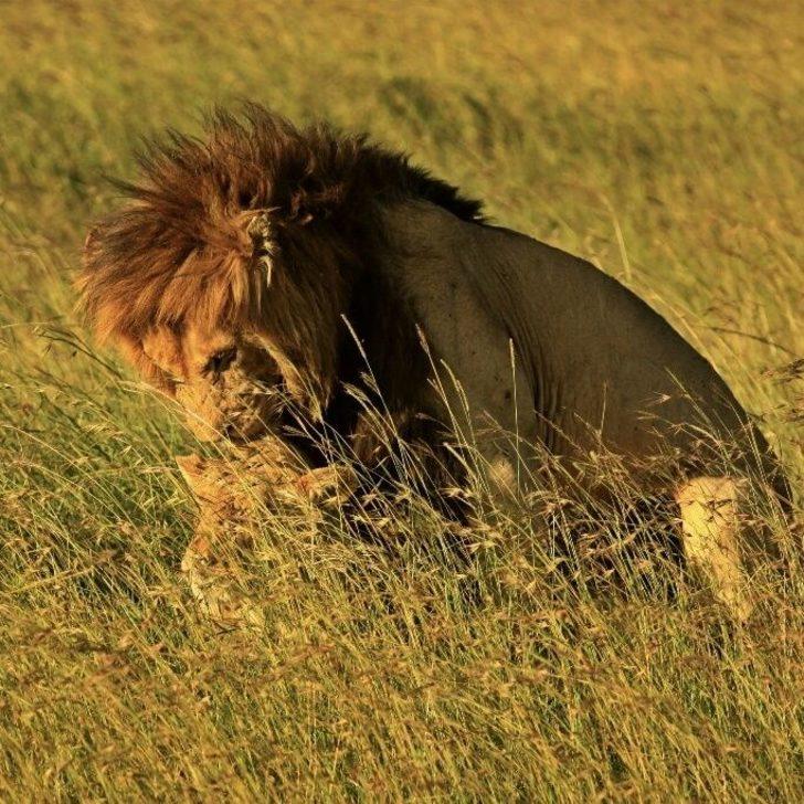 'Türk gezgin' Sarp Özkar 100'e yakın ülkeyi dolaştı  G5