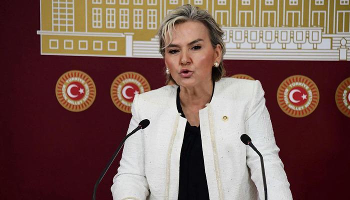 İstanbul Milletvekili Nimet &Ouml;zdemir CHP'den istifa etti
