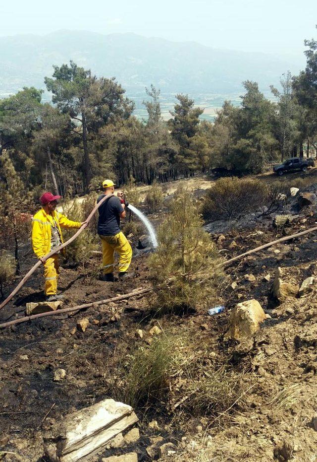 Kuyucak'taki yangında 25 hektarlık alan zarar gördü