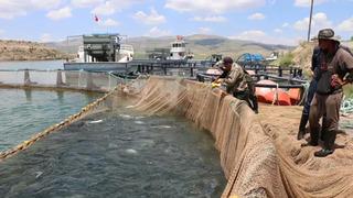 Son dakika: 49 &uuml;lkeye ihra&ccedil; ediliyor! Şehirde deniz bile yok: G&uuml;nde 100 ton satılıyor