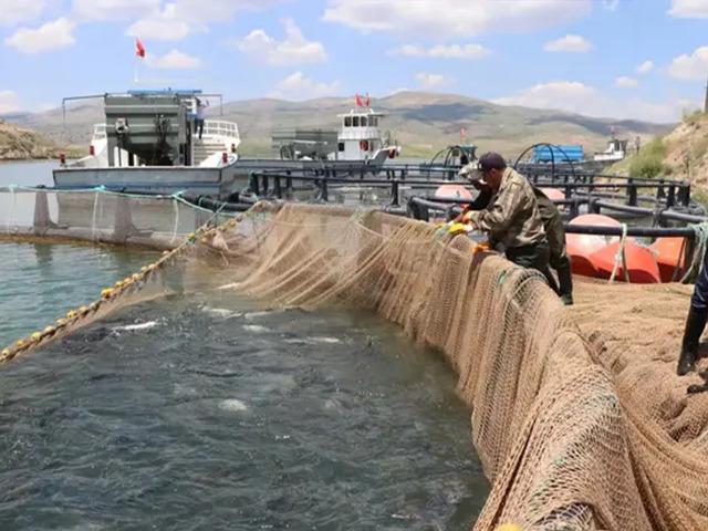 49 &uuml;lkeye ihra&ccedil; ediliyor! Şehirde deniz bile yok: G&uuml;nde 100 ton satılıyor