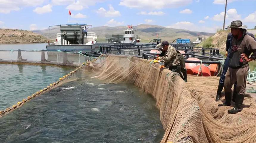 49 &uuml;lkeye ihra&ccedil; ediliyor! Şehirde deniz bile yok: G&uuml;nde 100 ton satılıyor