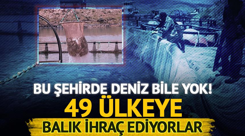 49 &uuml;lkeye ihra&ccedil; ediliyor! Şehirde deniz bile yok: G&uuml;nde 100 ton satılıyor