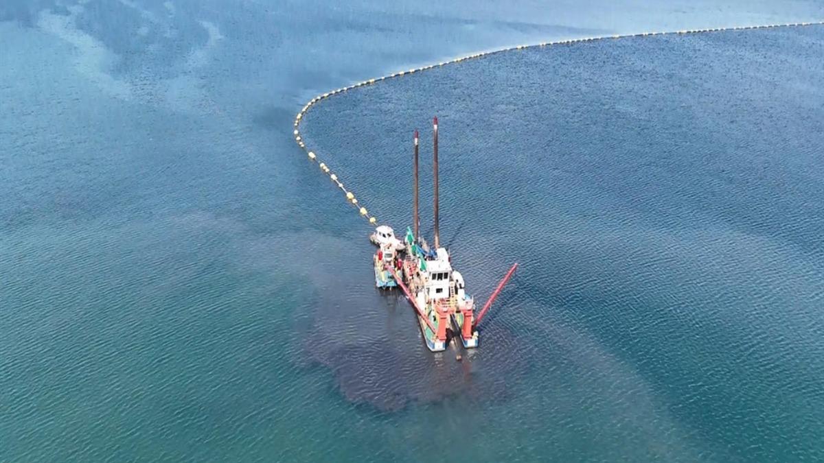 İzmit Körfezi nefes aldı: 30 balık türü geri döndü