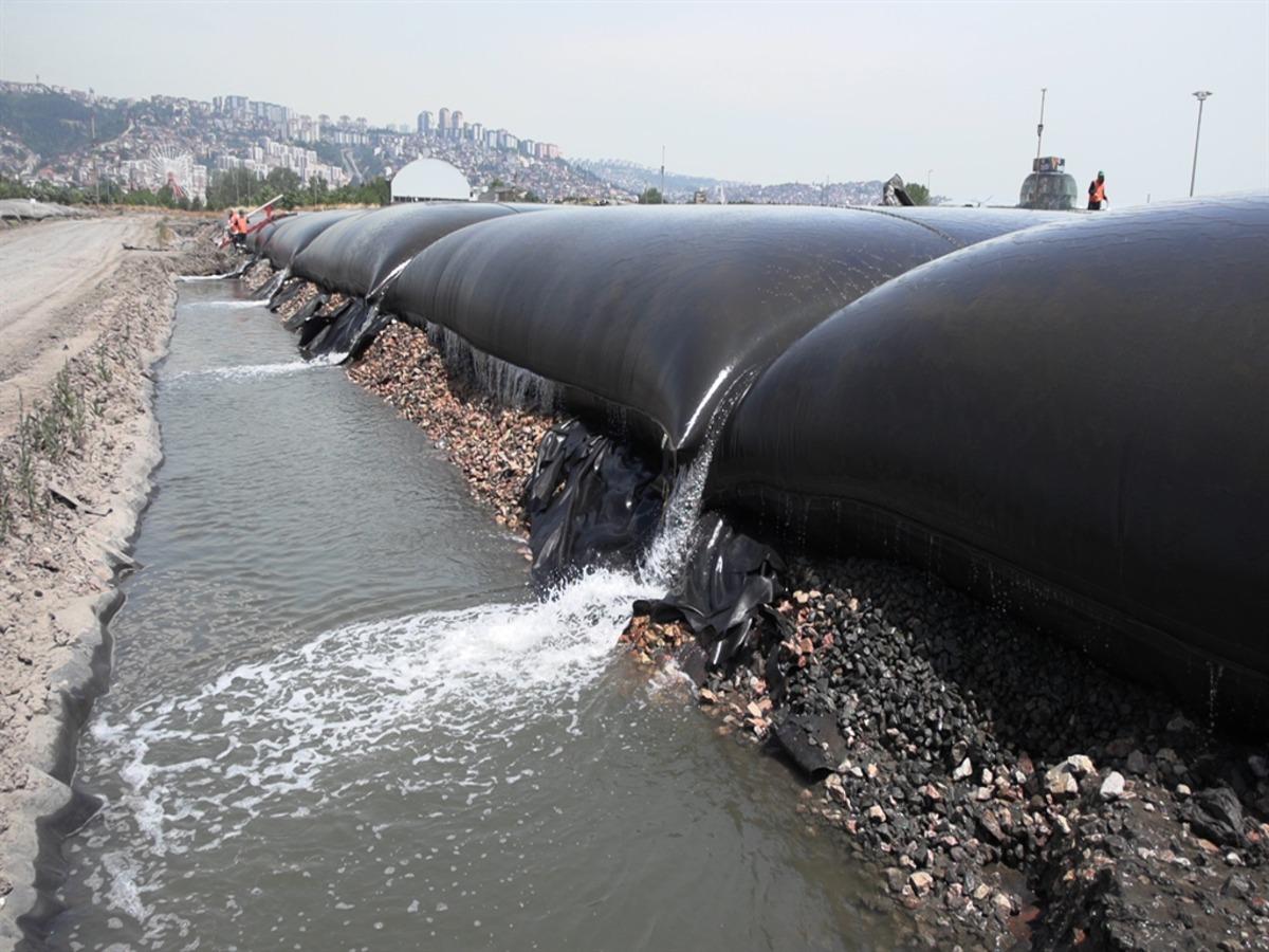 İzmit K&ouml;rfezi nefes aldı: 30 balık t&uuml;r&uuml; geri d&ouml;nd&uuml; 4