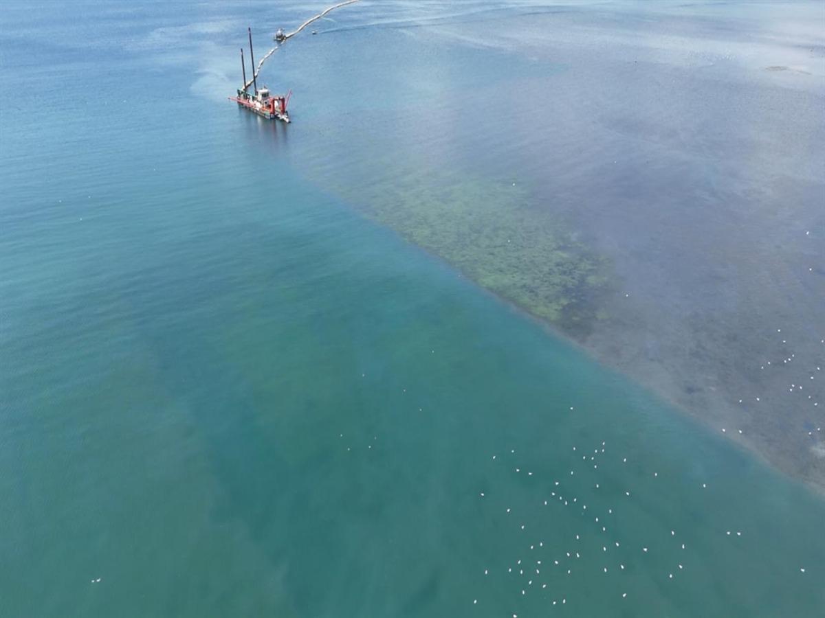 İzmit K&ouml;rfezi nefes aldı: 30 balık t&uuml;r&uuml; geri d&ouml;nd&uuml; 1