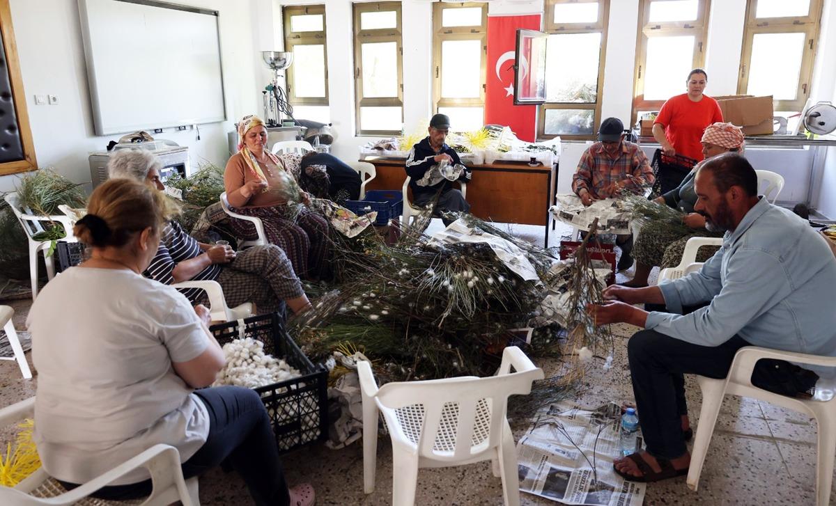 Kozalar ekonomiye kazandırılıyor: Muğla’da yaş koza hasadı başladı 2