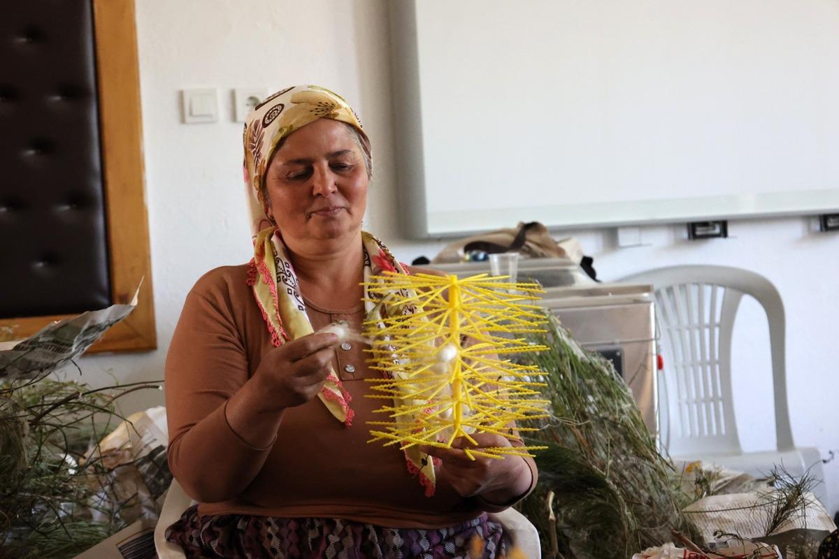 Kozalar ekonomiye kazandırılıyor: Muğla’da yaş koza hasadı başladı 1