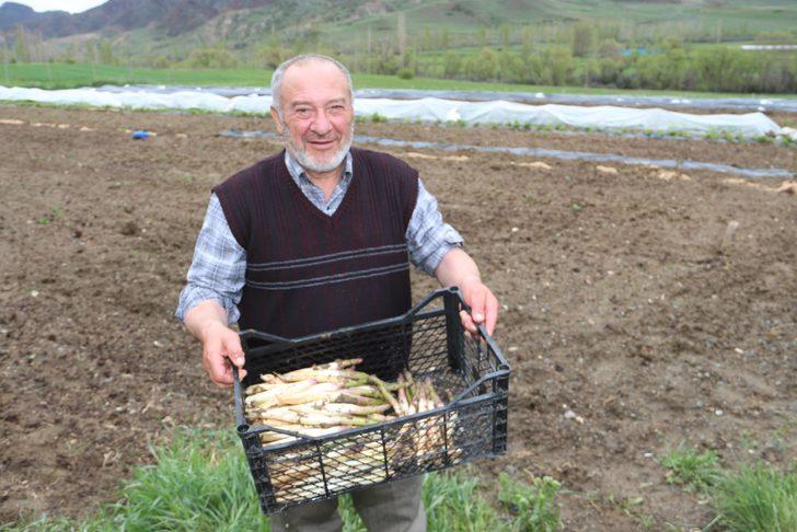 Köyüne dönen gurbetçi, kuşkonmaz üretimine başladı G4