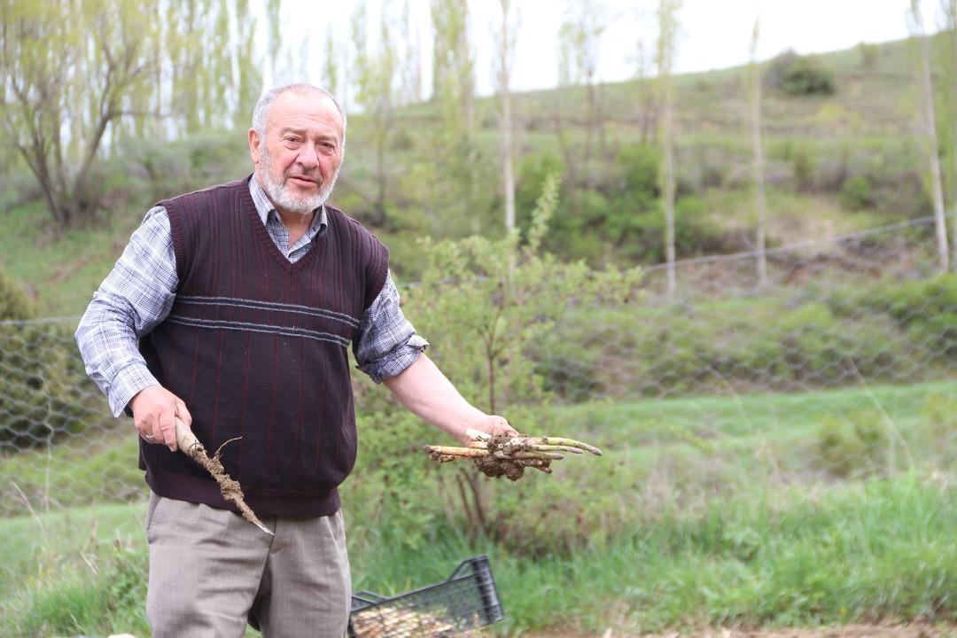  K&ouml;y&uuml;ne d&ouml;nen gurbet&ccedil;i, kuşkonmaz &uuml;retimine başladı