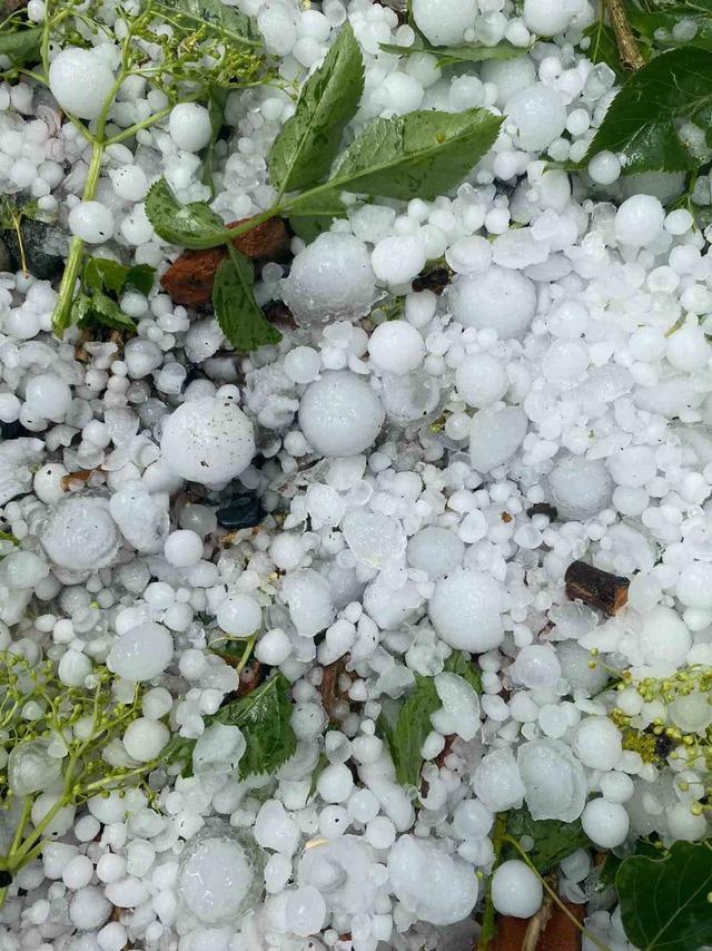 Kastamonu&rsquo;da dolu yağışı etkili oldu 1