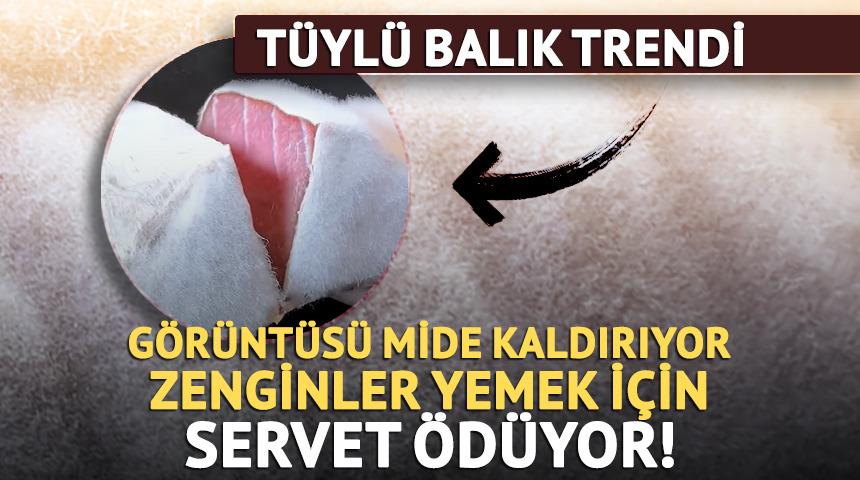 T&uuml;yl&uuml; balığın g&ouml;r&uuml;nt&uuml;s&uuml; mide kaldırıyor zenginler yemek i&ccedil;in servet &ouml;d&uuml;yor!