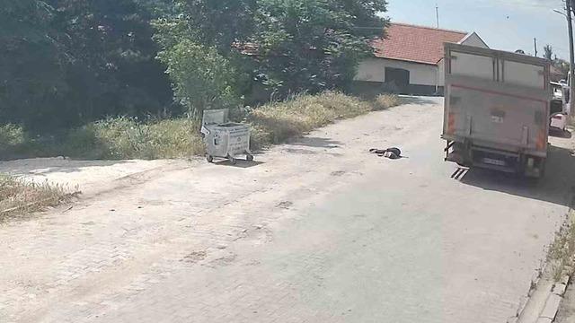 Kamyonun çarptığı yaşlı kadın hayatını kaybetti: Feci kaza kamerada 3