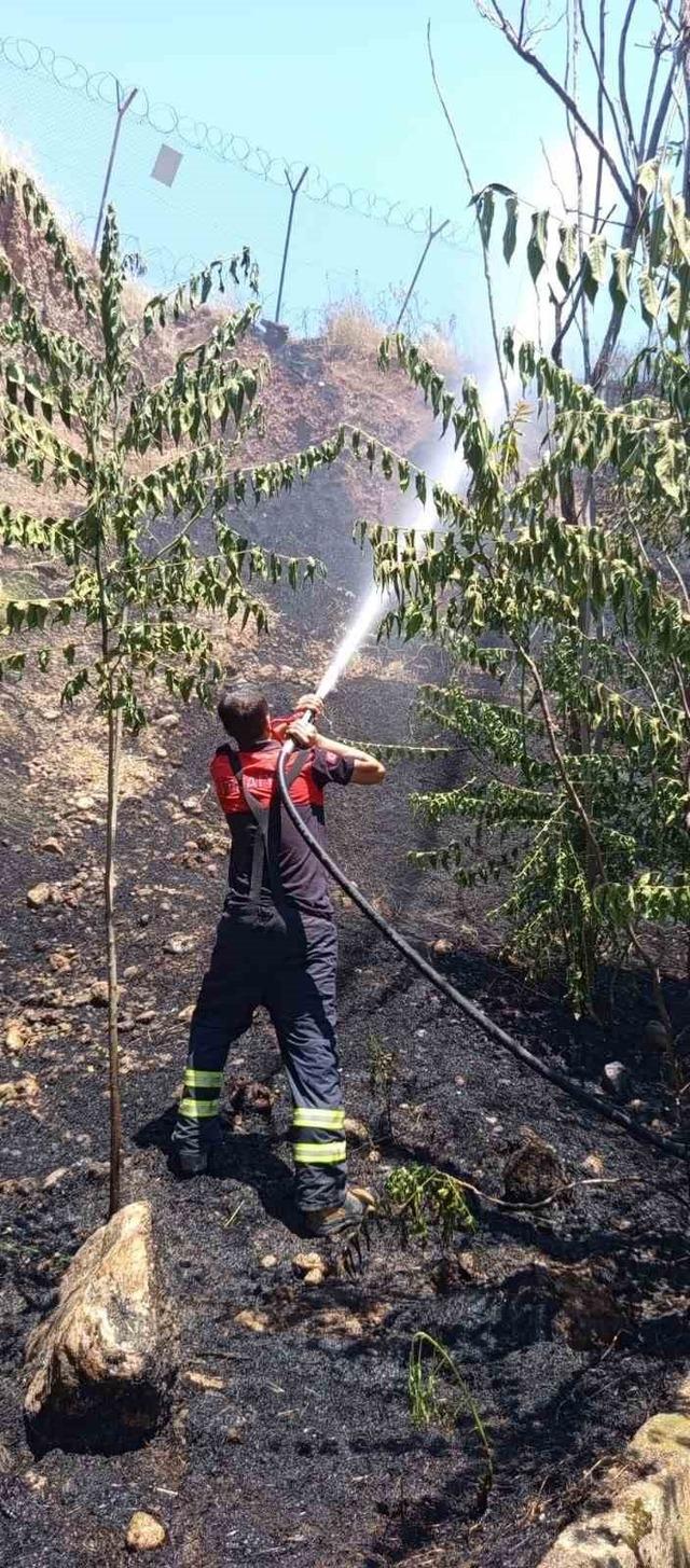 Siirt’te iş makinesinden çıkan kıvılcımı otluk alanı yaktı 3