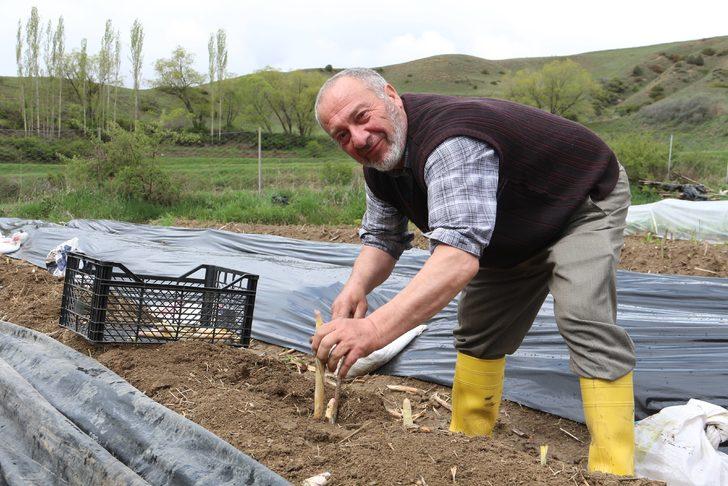  Köyüne dönen gurbetçi, kuşkonmaz üretimine başladı G5