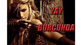 Venüs Yay burcunda