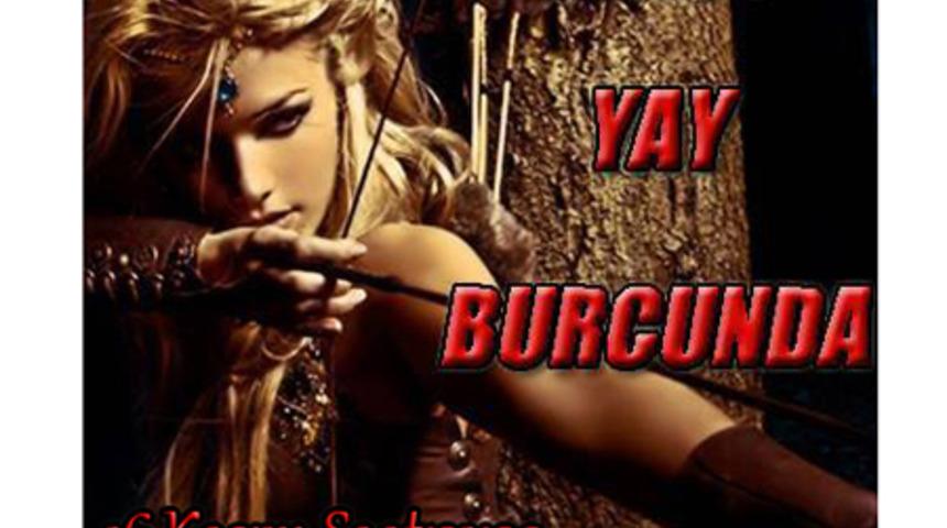 Ven&uuml;s Yay burcunda