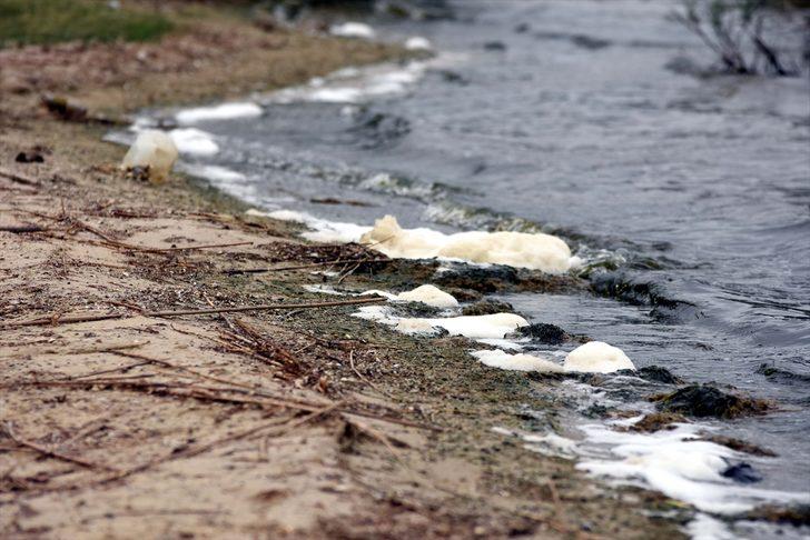 Bafa Gölü, kuraklık ve kirlilikten köpürdü G3