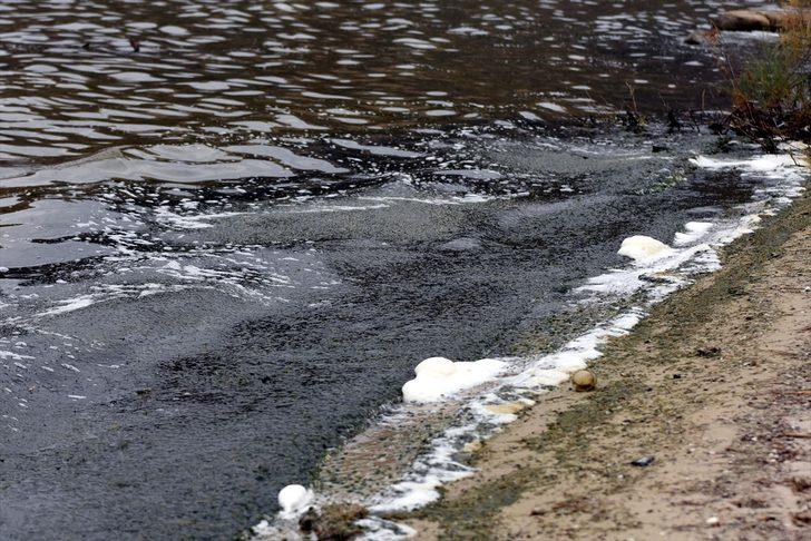 Bafa Gölü, kuraklık ve kirlilikten köpürdü G4