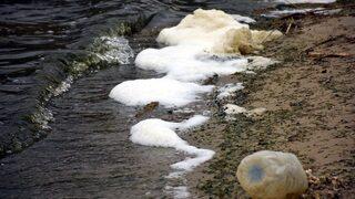 Bafa Gölü, kuraklık ve kirlilikten köpürdü