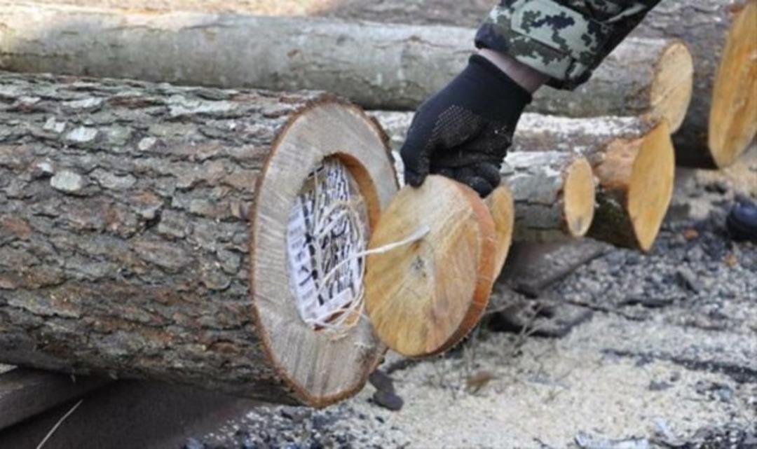 Şeytanın bile aklına gelmez 