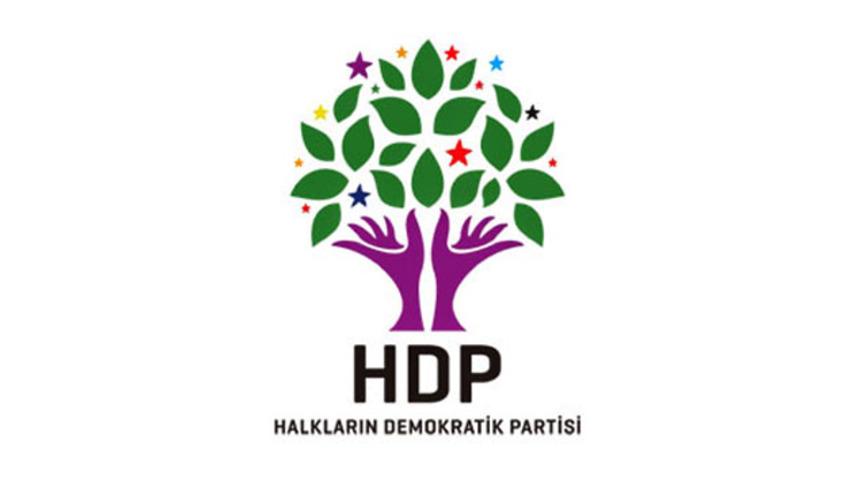 HDP'li Vekil Tosun'un oğlu terörden gözaltında