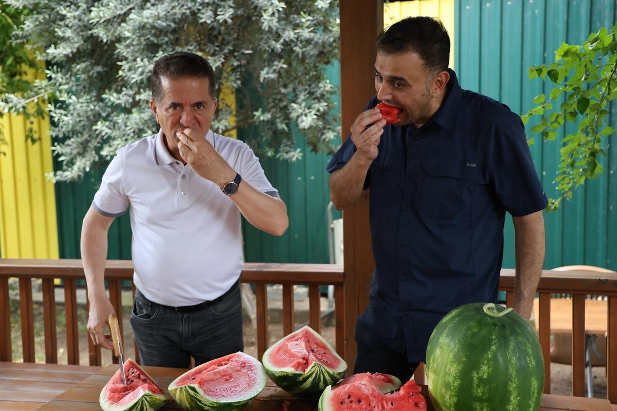 En iyi karpuz nasıl seçilir? Vurup seçmek eskide kaldı: Sırrı açıklandı 5