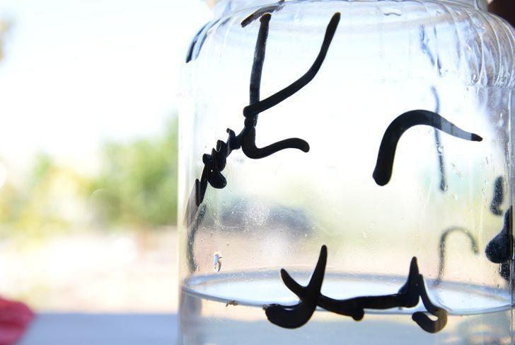 Kayseri’de ürettiği sülükleri dünyaya pazarlıyor G1