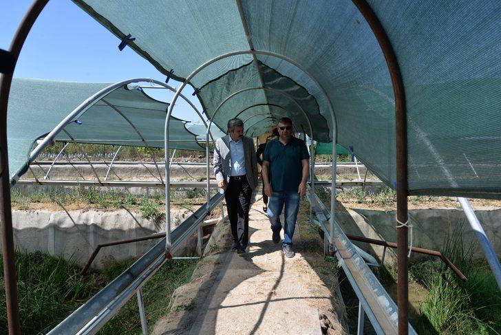 Kayseri’de ürettiği sülükleri dünyaya pazarlıyor G2