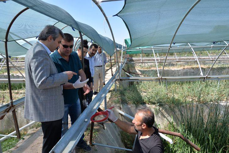 Kayseri’de ürettiği sülükleri dünyaya pazarlıyor G3