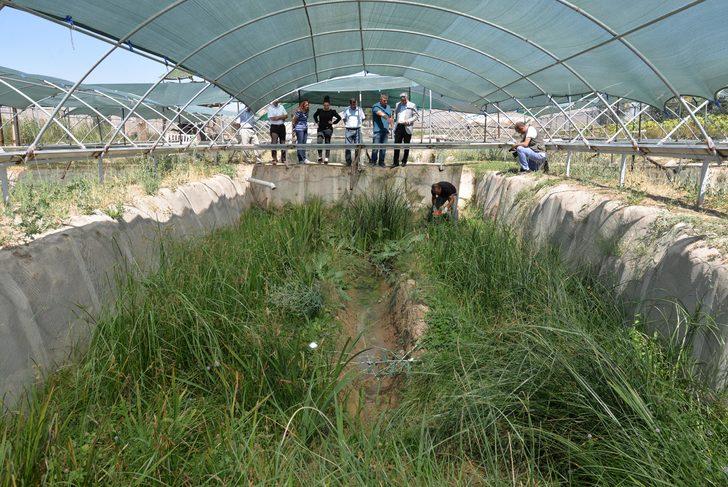 Kayseri’de ürettiği sülükleri dünyaya pazarlıyor G4