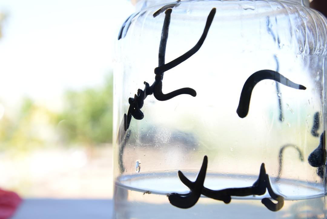 Kayseri&rsquo;de &uuml;rettiği s&uuml;l&uuml;kleri d&uuml;nyaya pazarlıyor