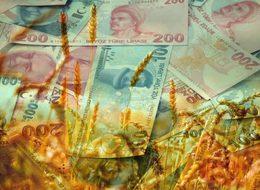 Genç çiftçilere 2018 desteğinde geri sayım