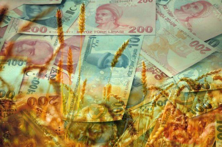  Genç çiftçilere 503 milyon lira hibe G1