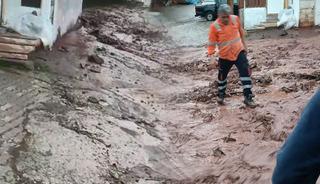 Artvin'de şiddetli sağanak! Dereler taştı