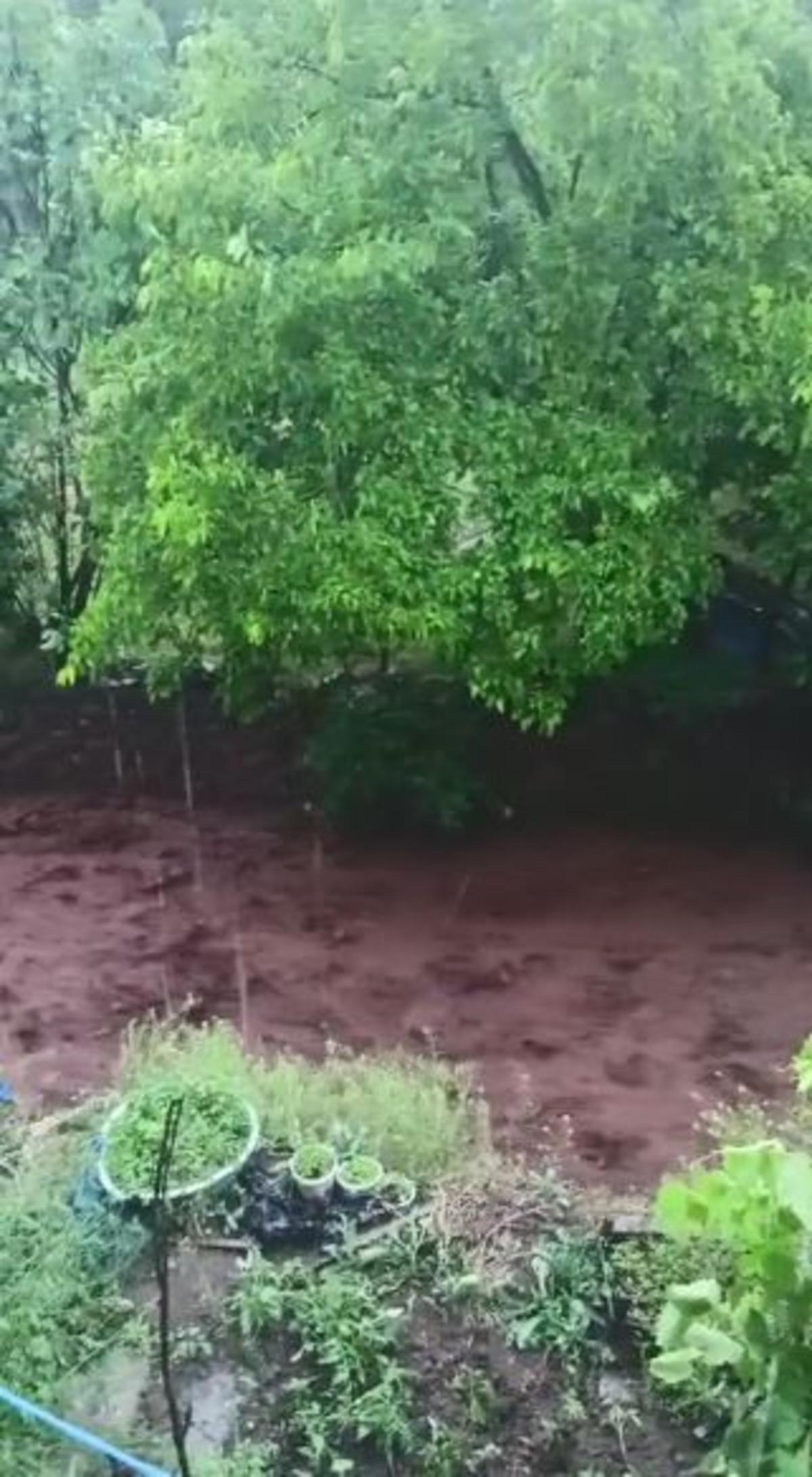 Artvin de şiddetli sağanak! Dereler taştı 1
