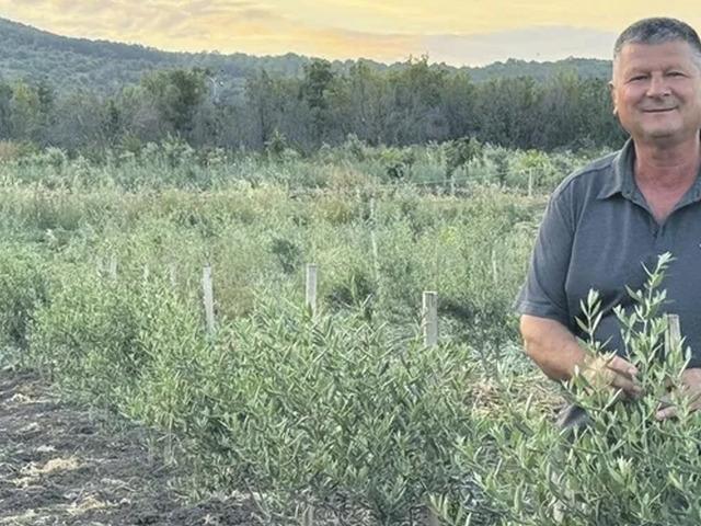 Atıl orman arazisi tahsis edildi! Her bir k&ouml;yl&uuml;n&uuml;n 30'ar ağacı var