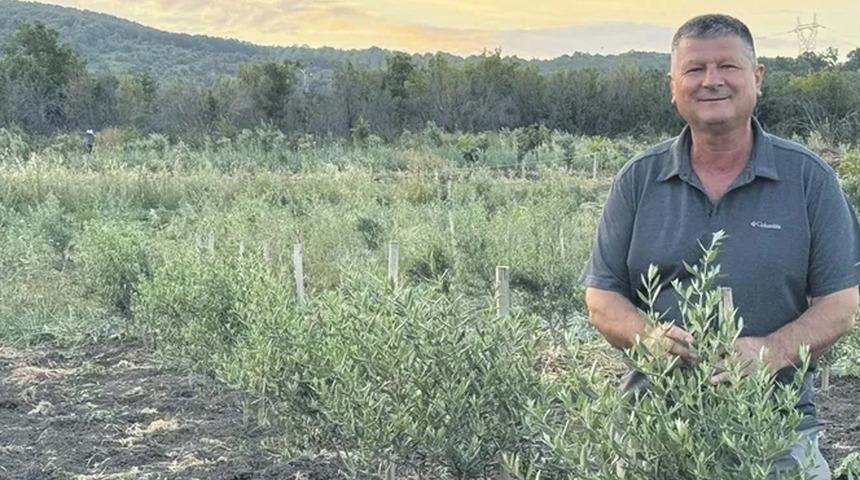 Atıl orman arazisi tahsis edildi! Her bir k&ouml;yl&uuml;n&uuml;n 30'ar ağacı var